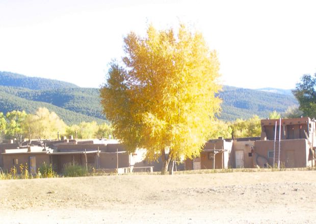 Tree of Life